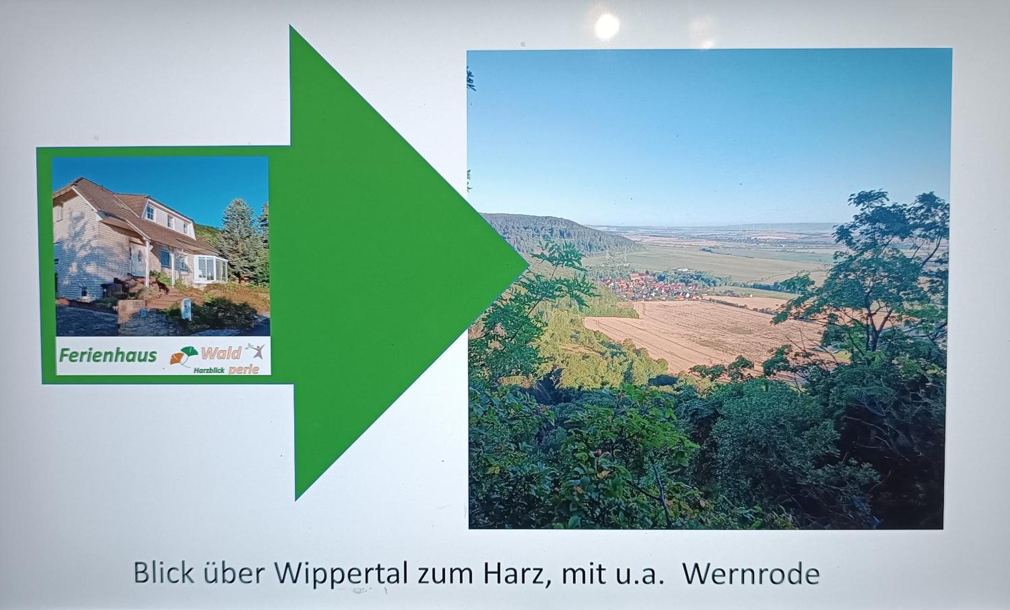 Ferienhaus Waldperle Harzblick Wernrode Extérieur photo