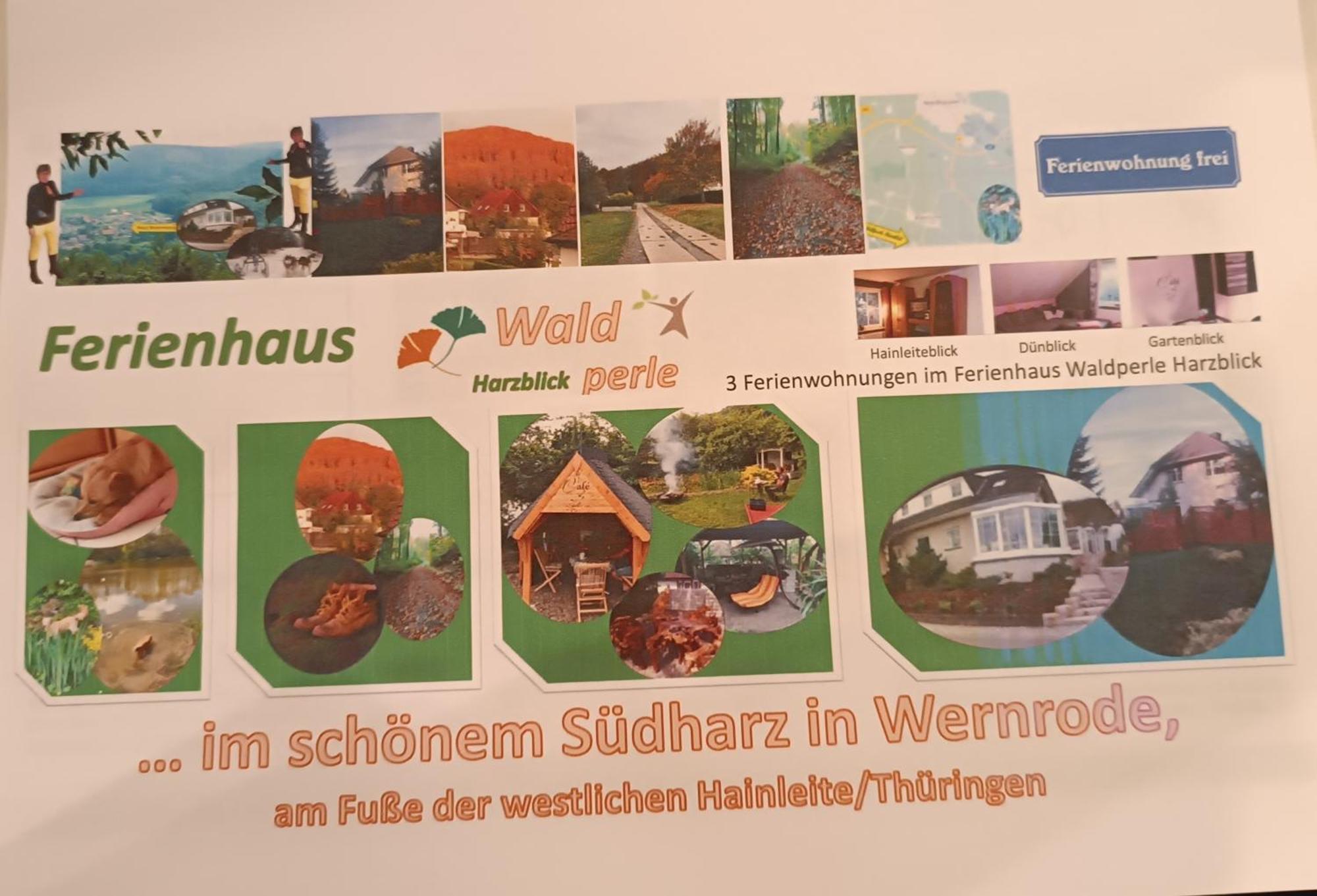 Ferienhaus Waldperle Harzblick Wernrode Extérieur photo